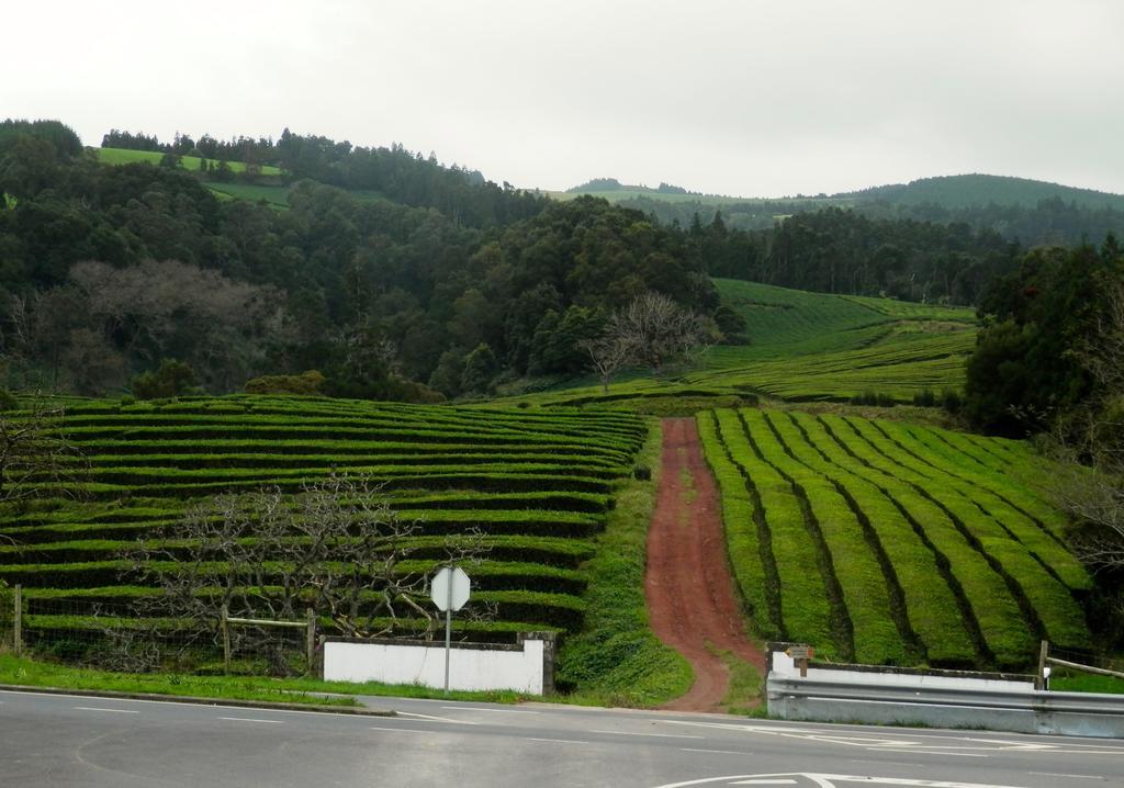 Azorean Sunset Loft ฮิเบย์รา กรันเจ ภายนอก รูปภาพ